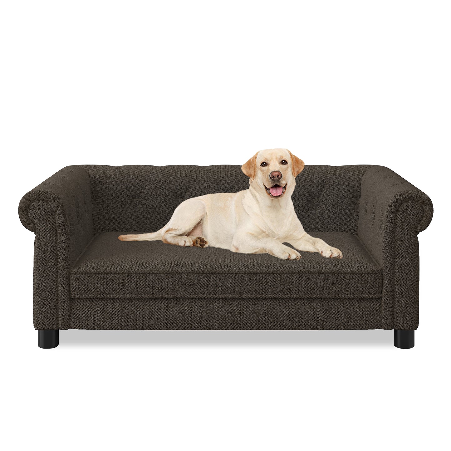 Kova Linen Pet Sofa – Dark Brown Elevated Bed for Small & Medium Dogs with Modern Frame - JUSTLIVE NESTJUSTLIVE NEST
