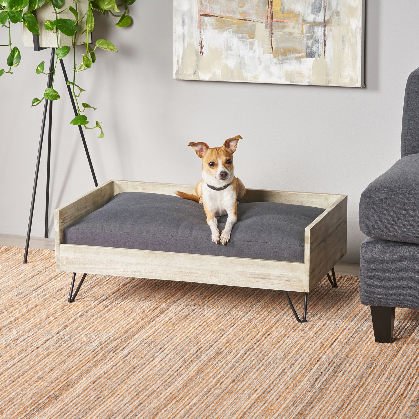 Kova Classic Dog Bed – Minimal Raised Pet Lounger with Soft Cushion - JUSTLIVE NESTJUSTLIVE NEST