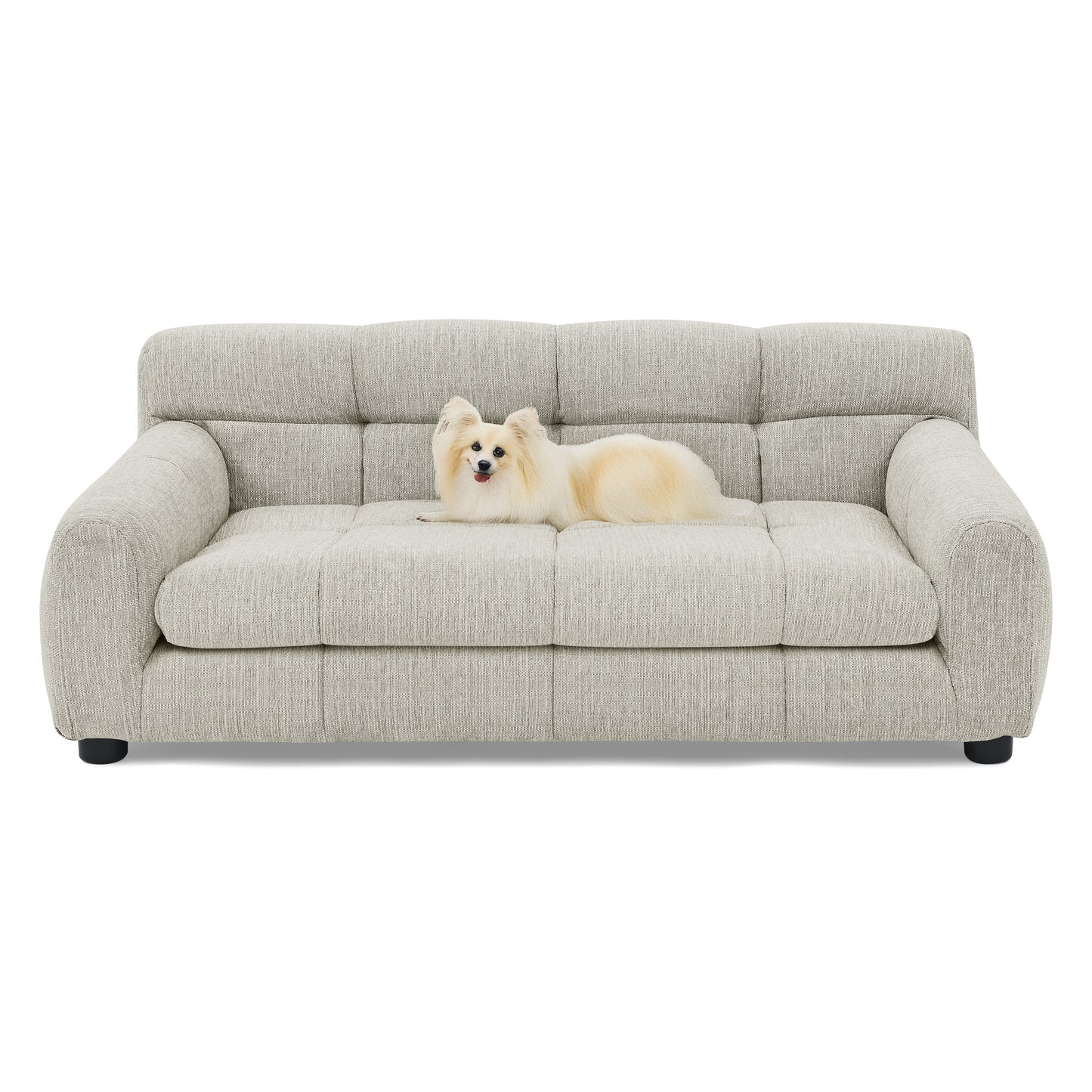Kova Plush Pet Sofa – Beige Rectangular Dog Couch with Backrest & Side Arms for Small/Medium Breeds - JUSTLIVE NESTJUSTLIVE NEST