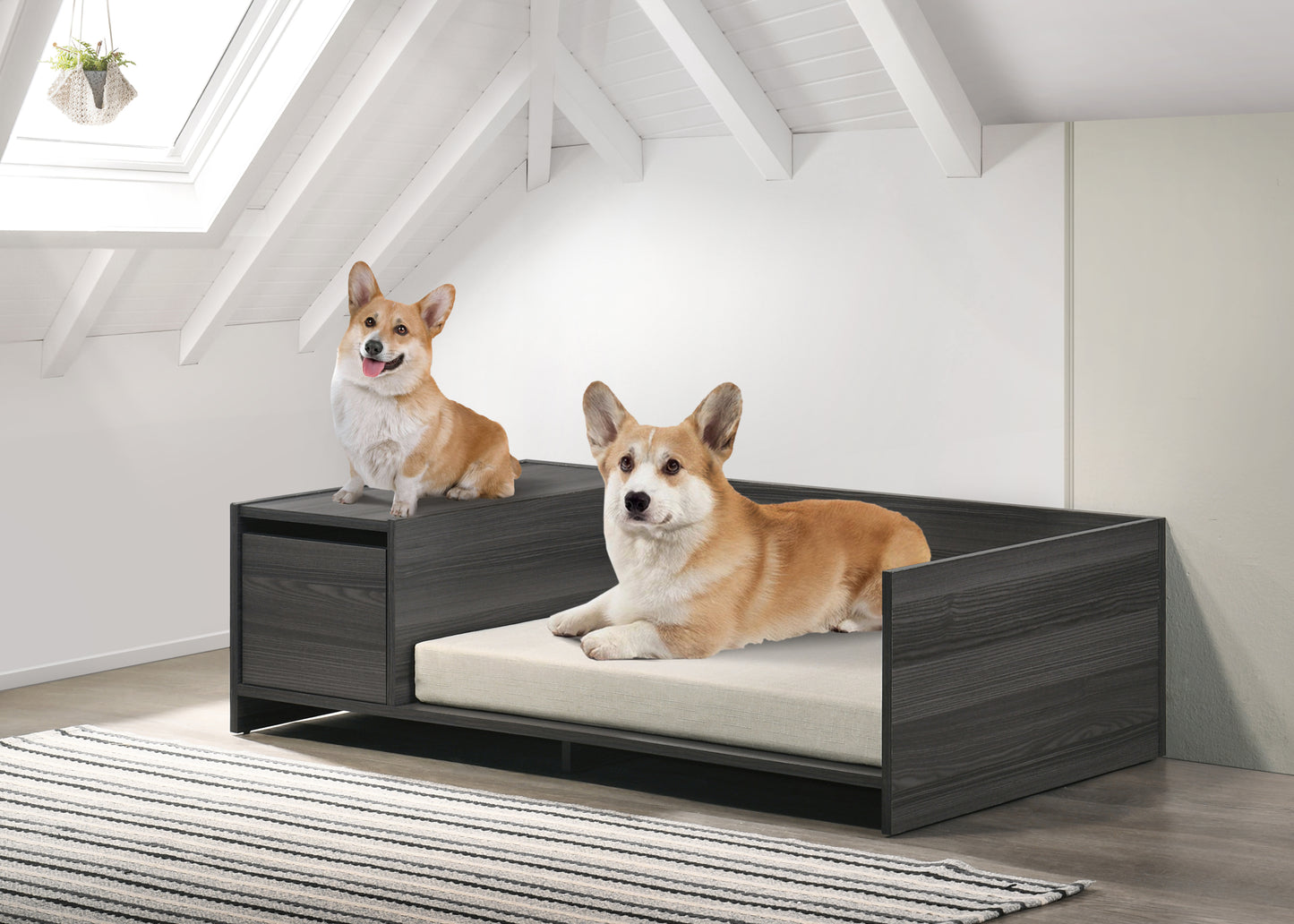 Esme 47" Storage Pet Bed – Ash Gray Lounge with Cushion & Side Compartment - JUSTLIVE NESTJUSTLIVE NEST
