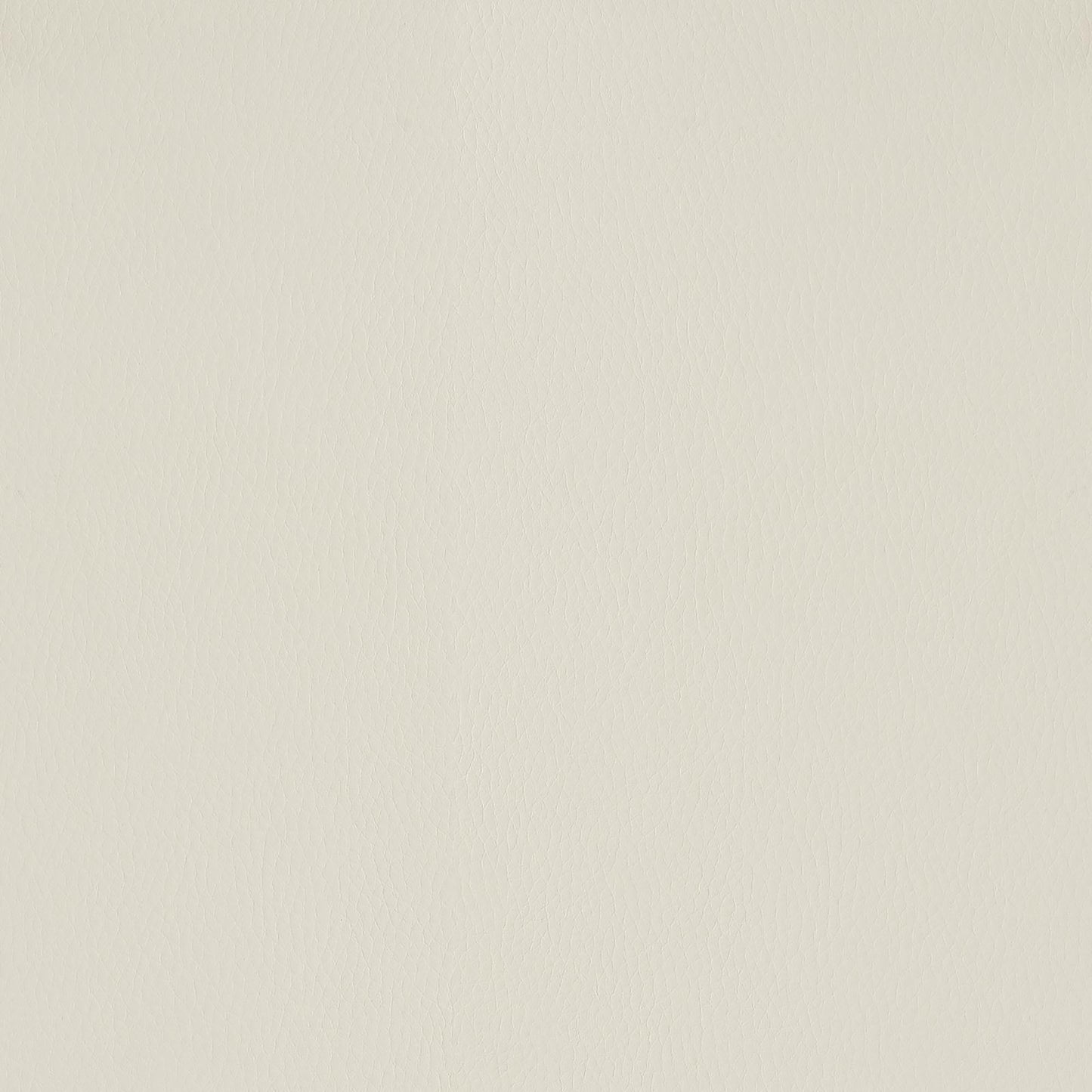 19049975