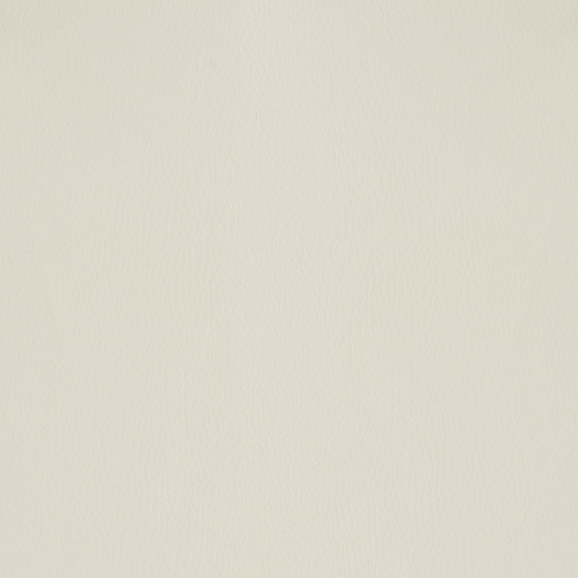 19049975