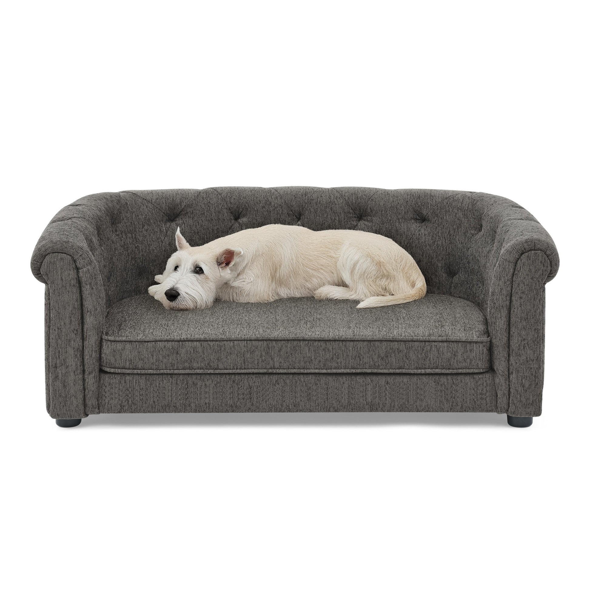 Kova Arc Pet Sofa – Dark Gray Linen Dog Couch with Curved Backrest & Cozy Cushion - JUSTLIVE NESTJUSTLIVE NEST