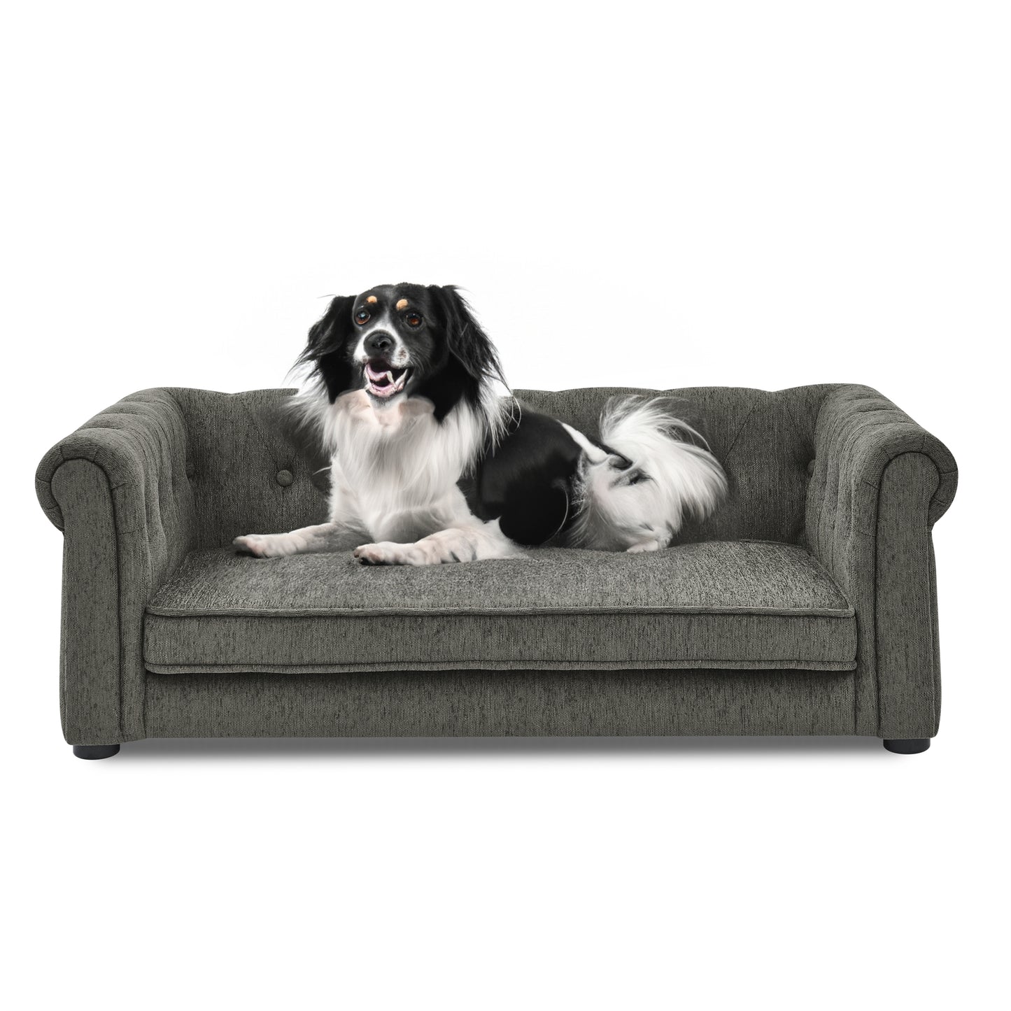 Kova Modern Pet Sofa – Dark Gray Elevated Bed for Small & Medium Dogs, Durable Upholstery - JUSTLIVE NESTJUSTLIVE NEST