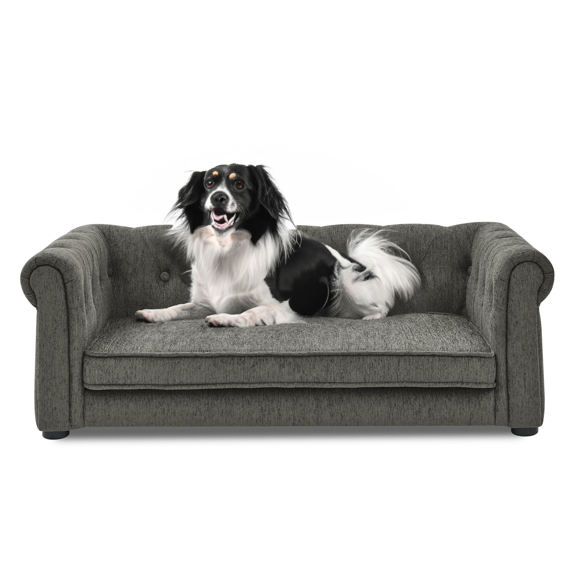 Kova Modern Pet Sofa – Dark Gray Elevated Bed for Small & Medium Dogs, Durable Upholstery - JUSTLIVE NESTJUSTLIVE NEST