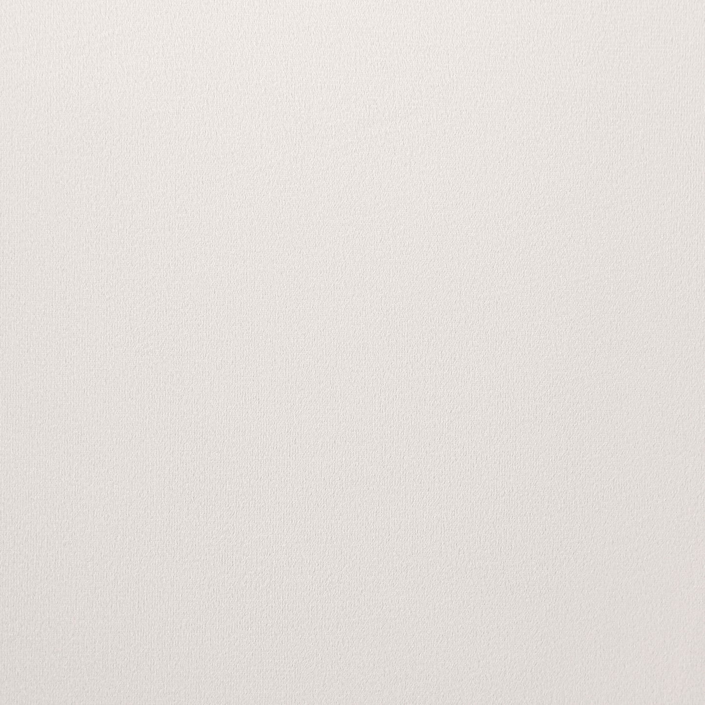 19030841