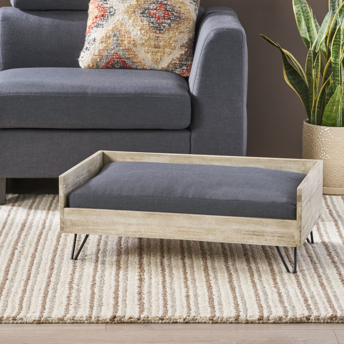 Kova Classic Dog Bed – Minimal Raised Pet Lounger with Soft Cushion - JUSTLIVE NESTJUSTLIVE NEST