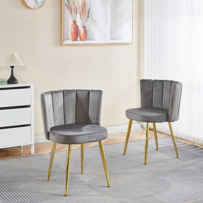 Sylora Chairs (2pc) – Greystone Velvet, Aurasteel Legs