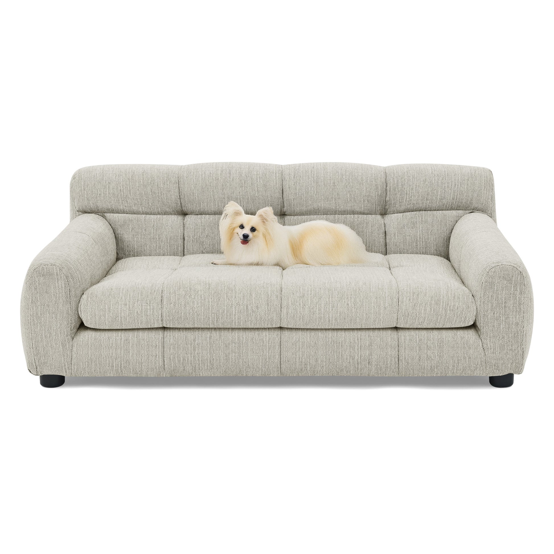 Kova Plush Pet Sofa – Beige Rectangular Dog Couch with Backrest & Side Arms for Small/Medium Breeds - JUSTLIVE NESTJUSTLIVE NEST