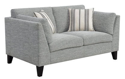 Doyle™ Gray Modern Loveseat – Stylish 2-Seater Sofa for Contemporary Living Spaces