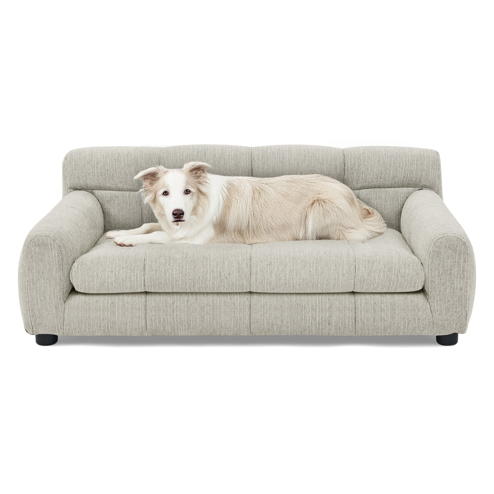 Kova Plush Pet Sofa – Beige Rectangular Dog Couch with Backrest & Side Arms for Small/Medium Breeds - JUSTLIVE NESTJUSTLIVE NEST