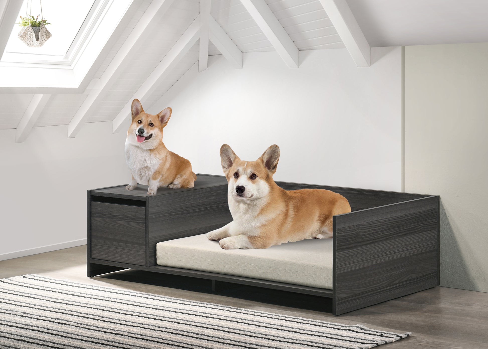 Esme 47" Storage Pet Bed – Ash Gray Lounge with Cushion & Side Compartment - JUSTLIVE NESTJUSTLIVE NEST