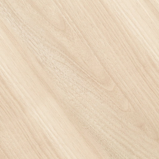 19042885