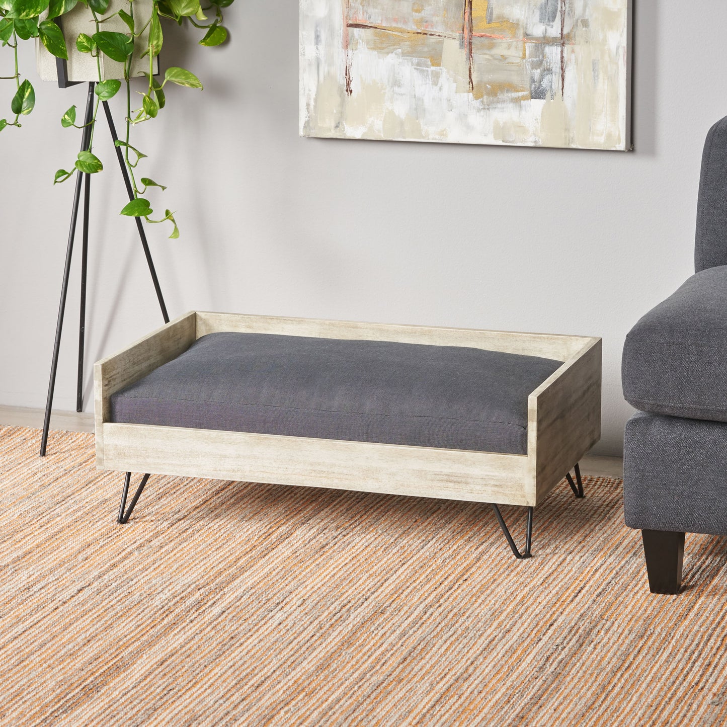 Kova Classic Dog Bed – Minimal Raised Pet Lounger with Soft Cushion - JUSTLIVE NESTJUSTLIVE NEST