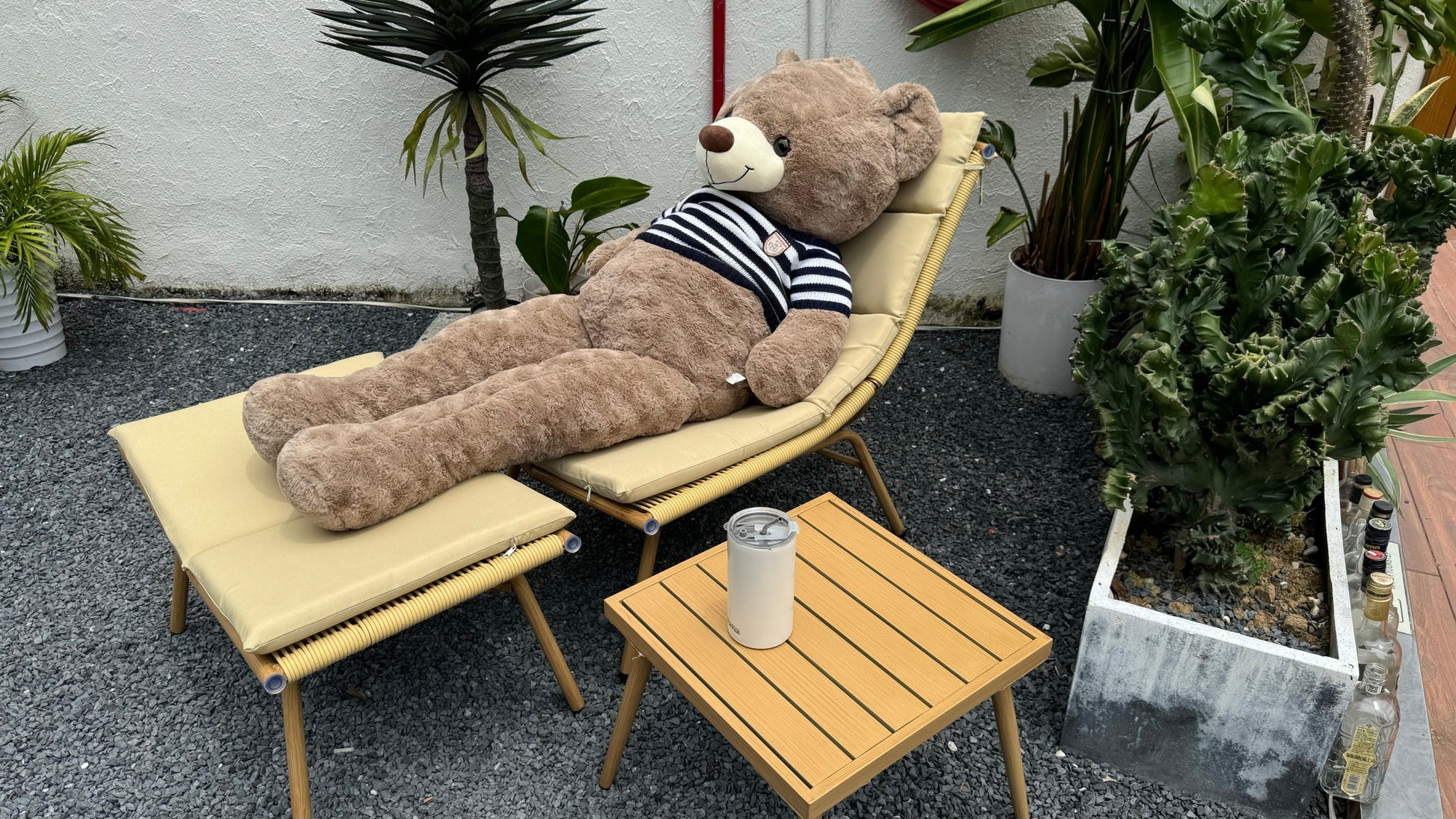 19061078